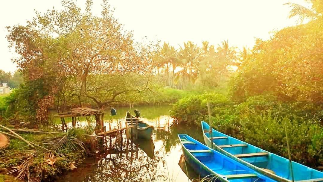 Shruthi'S Aarohi-Nature'S Retreat Mulappilangad Luaran gambar