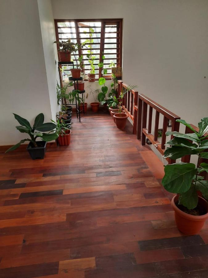 Shruthi'S Aarohi-Nature'S Retreat Mulappilangad Luaran gambar