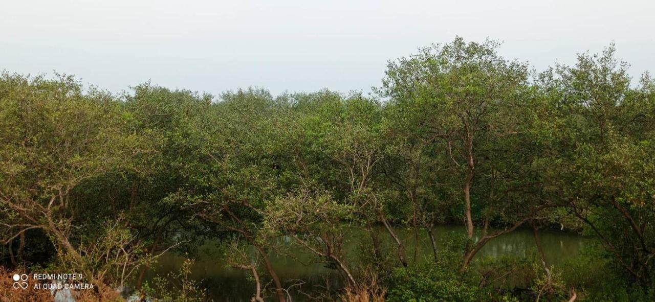 Shruthi'S Aarohi-Nature'S Retreat Mulappilangad Luaran gambar