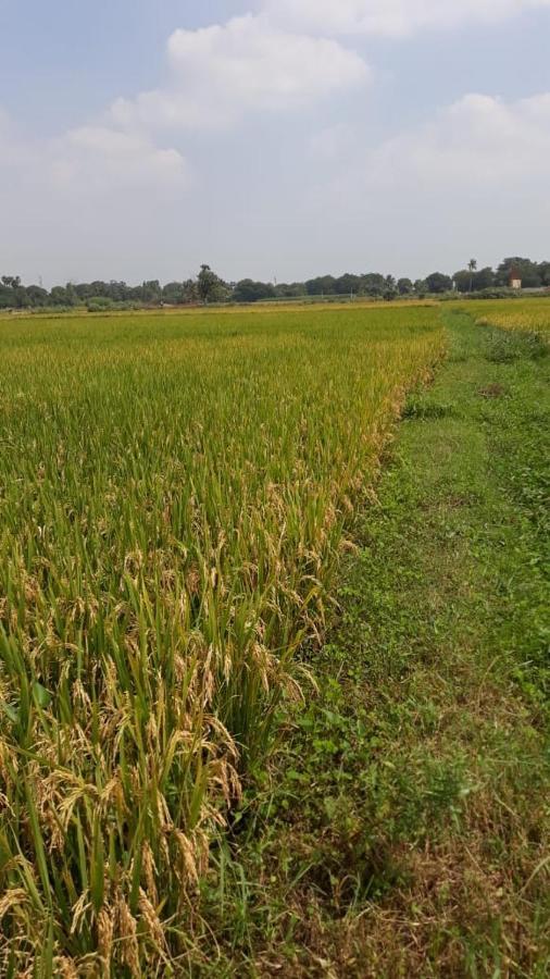 Shruthi'S Aarohi-Nature'S Retreat Mulappilangad Luaran gambar