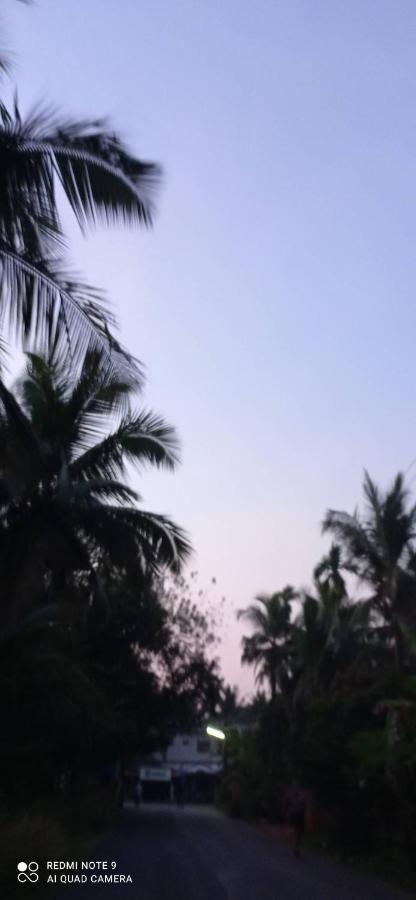 Shruthi'S Aarohi-Nature'S Retreat Mulappilangad Luaran gambar