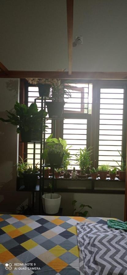 Shruthi'S Aarohi-Nature'S Retreat Mulappilangad Luaran gambar
