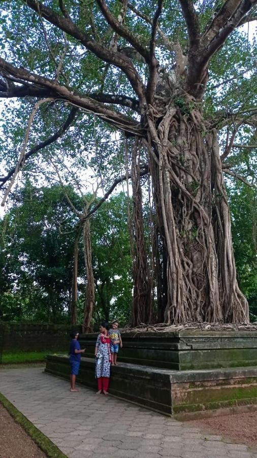 Shruthi'S Aarohi-Nature'S Retreat Mulappilangad Luaran gambar