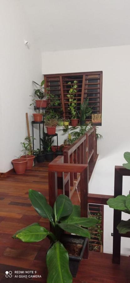Shruthi'S Aarohi-Nature'S Retreat Mulappilangad Luaran gambar
