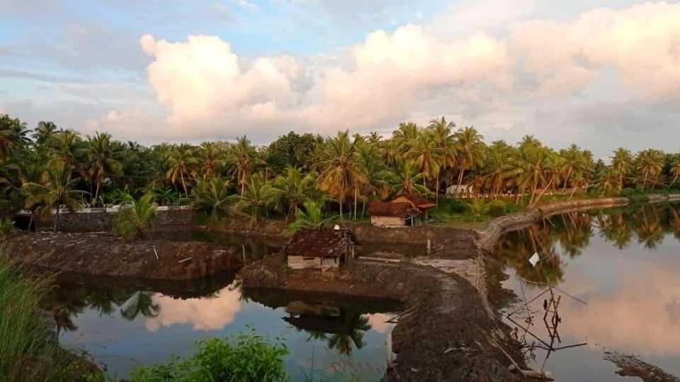 Shruthi'S Aarohi-Nature'S Retreat Mulappilangad Luaran gambar
