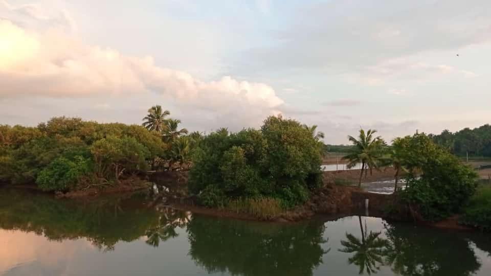 Shruthi'S Aarohi-Nature'S Retreat Mulappilangad Luaran gambar